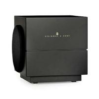 Steinway Lyngdorf S-210 Boundary Woofer matte black
