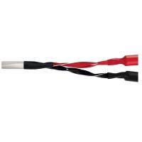 Wire World (LUS2.5MB-8) Luna 8 Speaker Cable 2.5m Pair (BAN-BAN)